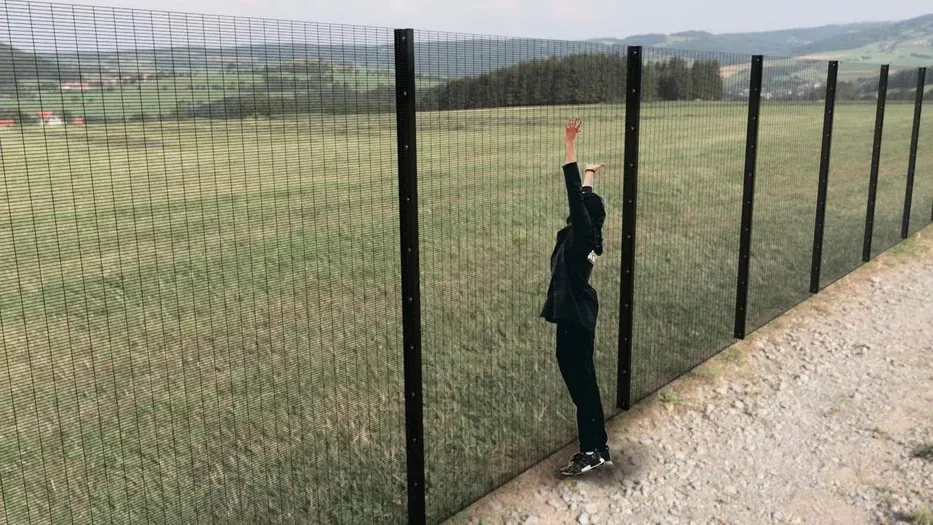 358 Anti-Climb Mesh — additional product view
